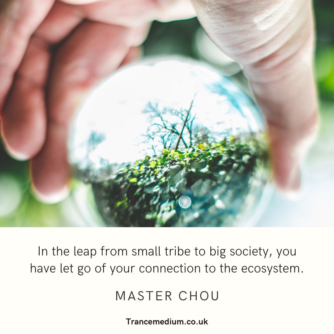 In the leap from small tribe to big society, you have let go of your connection to the ecosystem.

➤ Extract from Community, a Conversation with Master Chou
➤ Purchase a copy of the recording to hear more
➤ Click link below

bit.ly/3x86ZA2