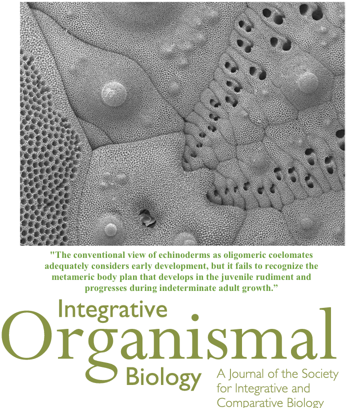 iobjournal's tweet photo. Now in issue!
The Metameric Echinoderm
by R L Turner
(https://t.co/laBbLSIEGQ)
https://t.co/ifInKw7pgk
#phyla #echinoderms #annelids #arthropods #chordates #science https://t.co/ylD8k6rJf4