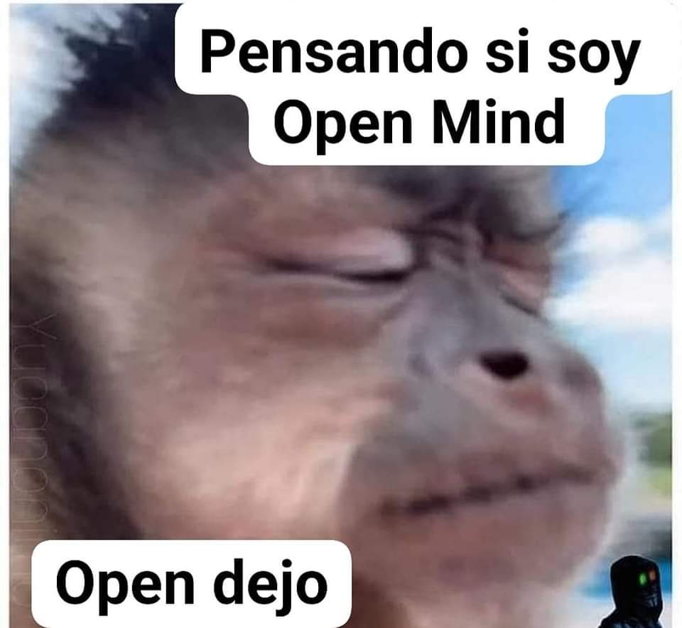 🤣🤣🤣
