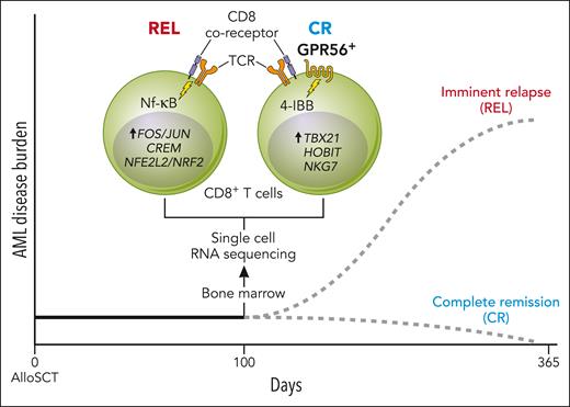 GPR56 in GVL: marker or mechanism?
ow.ly/wExL50R4zVV #myeloidneoplasia