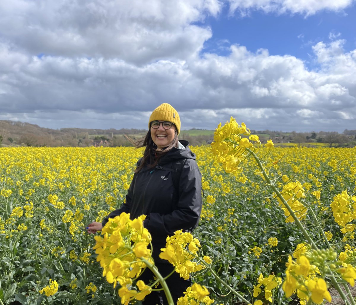 LizAtkin's tweet photo. 10km walk today took us through the rapeseed fields we have seen from the train for the last 3 years 💛💛💛#publicfootpath #rapeseed #rapeseedfield #walkingformentalhealth #slowdown #kent #walkingforgrief https://t.co/brUciggTB7