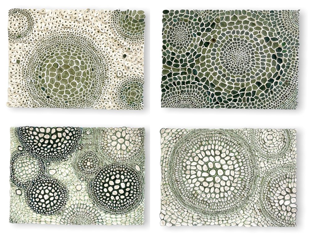 WomensArtForAll's tweet photo. Amy #Genser (@amygenserstudio) •Seedlings• #WomensArt #ArtByWomen #WomenArtists https://t.co/ymZcajnhOd