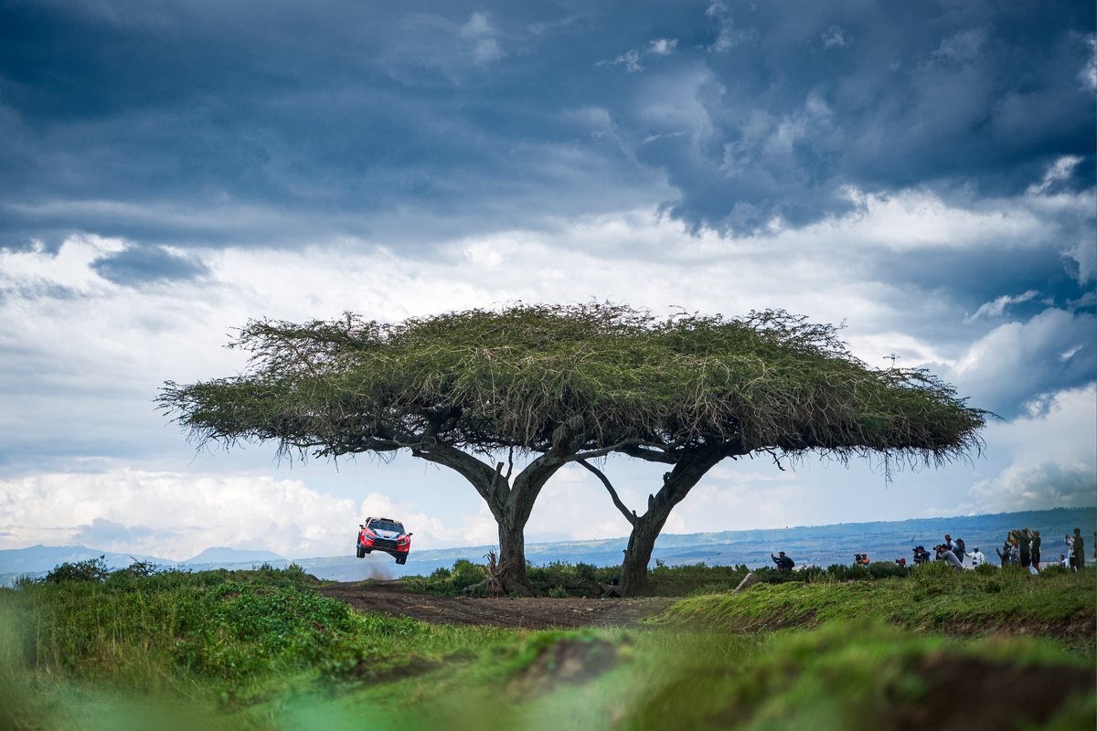 HMSGOfficial's tweet photo. This rally is something else 🤩

#WRC https://t.co/UKg0X6aMV4