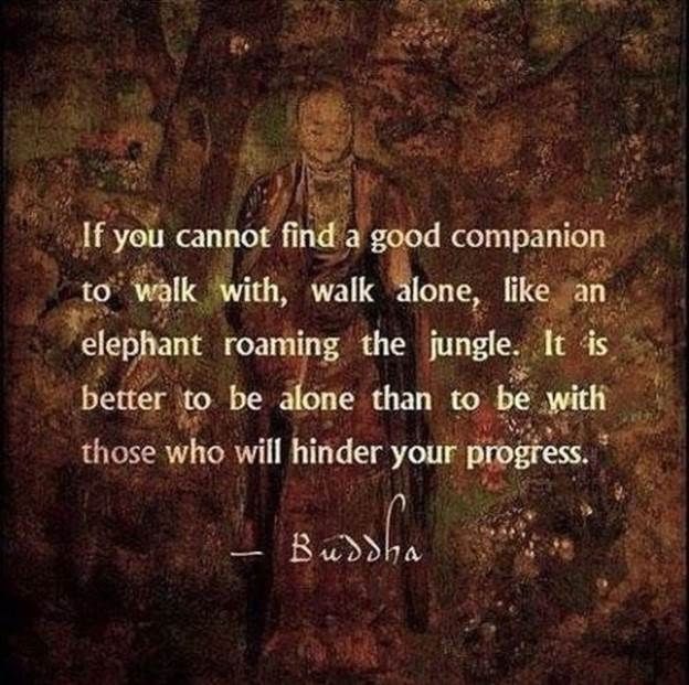 fedecops's tweet image. 🐘 Walk your path with strength and independence. If a worthy companion isn't found, embrace solitude as your power.
Alone, you are unstoppable. Better solitude than companions who dim your shine.

#WalkAlone #StrengthInSolitude #Pathfinder