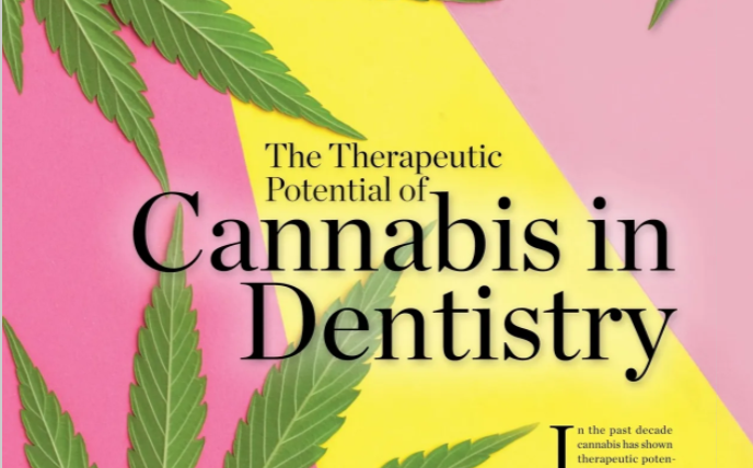 InDentalHygiene's tweet photo. CE opportunity on @CDEWorld: The Therapeutic Potential of Cannabis in Dentistry 

https://t.co/m3Y0wfK8rF https://t.co/doRAnSOlPG