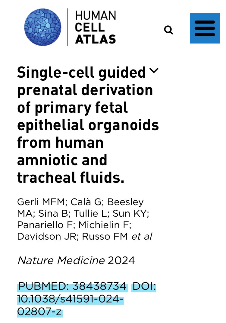 Grateful to the @humancellatlas for including our work in their official publication list. This is such a honour! Looking forward to see more amniotic fluid cells data to the atlas! nature.com/articles/s4159… @giuseppecala94 @MaxABeesley @paolodecoppi @InUteroTherapy