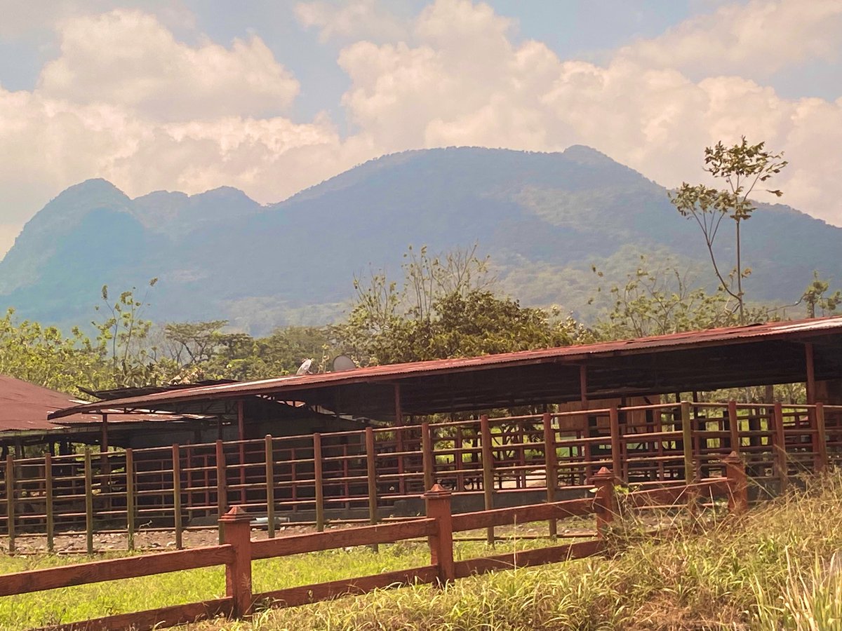 Apparently the locals call this mountain Donald Trump….