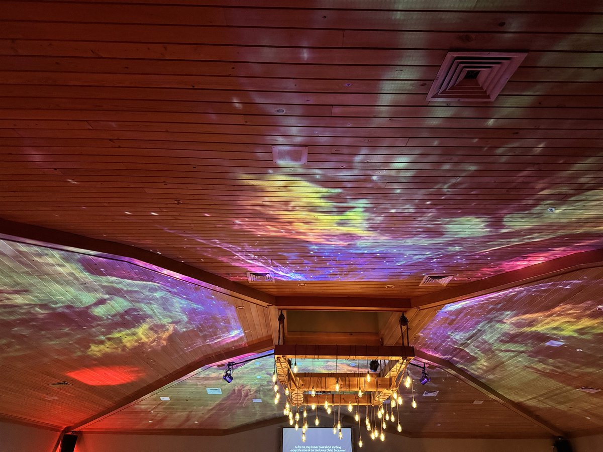 stephen proctor tweet media