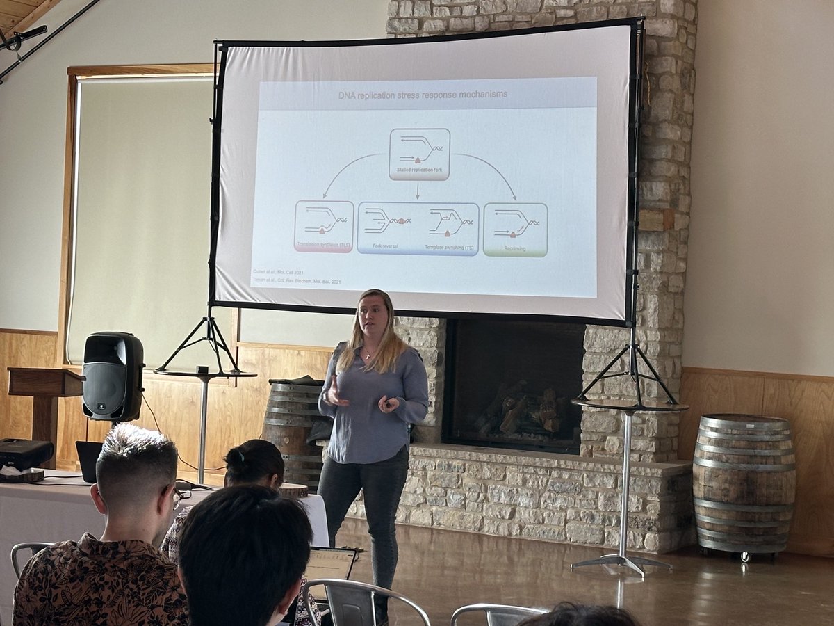 Vindigni lab (@vindignilab) on Twitter photo Wonderful presentation by <a href="/Seppai99/">Isabelle (she/her)</a> at CGI retreat on exciting new research on DNA repair in BRCA1-deficiency.<a href="/GenomeIntegrity/">Center for Genome Integrity</a> <a href="/SitemanCenter/">Siteman Cancer Center</a> @WUSTLdbbs @WashUOnc @WUDeptMedicine Wonderful presentation by <a href="/Seppai99/">Isabelle (she/her)</a> at CGI retreat on exciting new research on DNA repair in BRCA1-deficiency.<a href="/GenomeIntegrity/">Center for Genome Integrity</a> <a href="/SitemanCenter/">Siteman Cancer Center</a> @WUSTLdbbs @WashUOnc @WUDeptMedicine