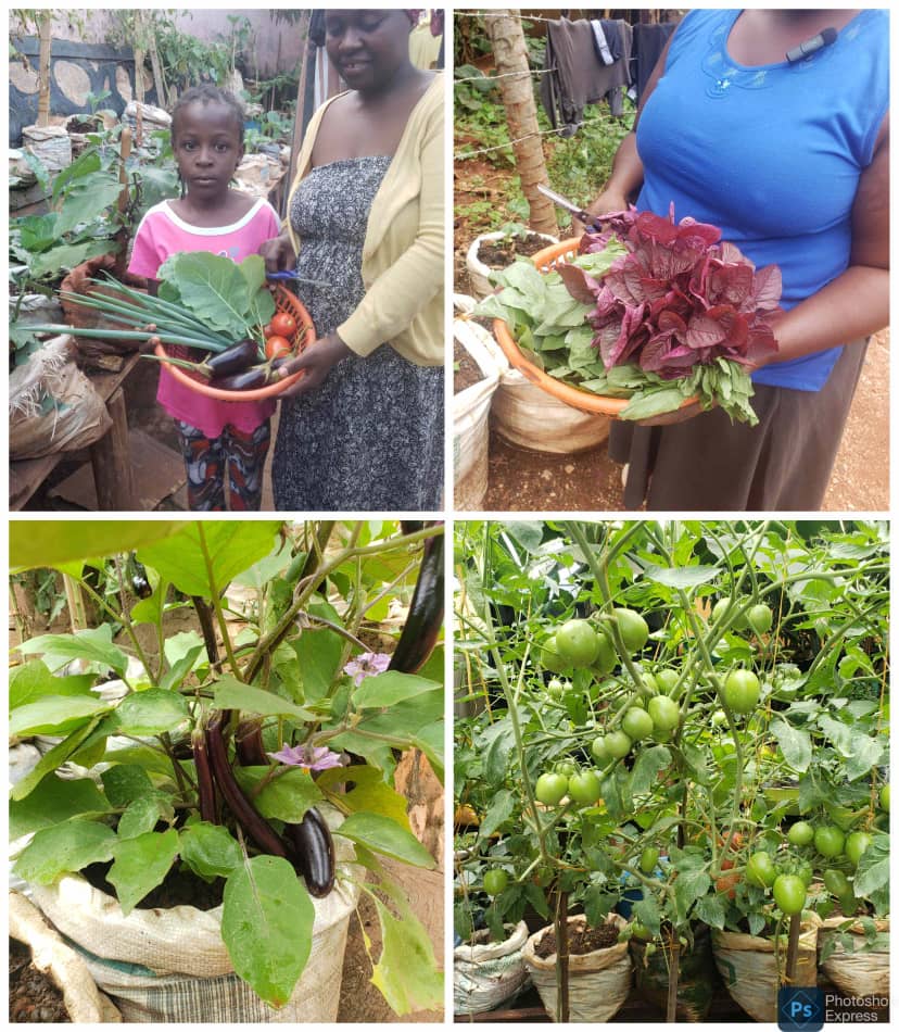 'Invest in Women, Accelerate Progress'. If women farmers gain access to the same resources as their male counterparts, the entire world will eat too.