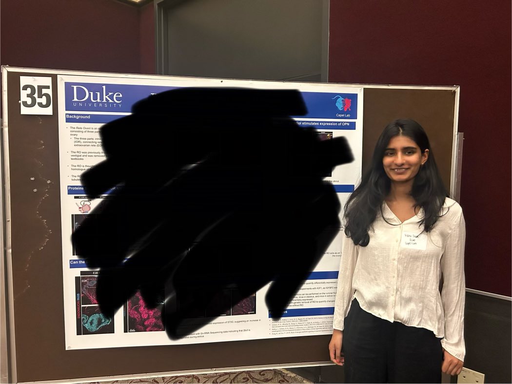 Vidita_Shah's tweet photo. Thank you #TCRB for the opportunity to share some of my work with the triangle community of reproductive biologists! #UnpublishedData https://t.co/X0OaFO7kTM