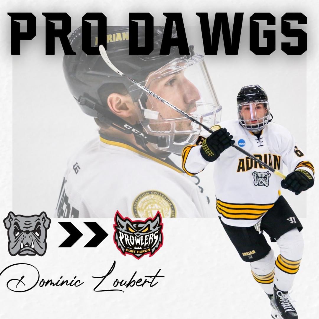 ACbulldoghockey's tweet image. Congratulations to graduating senior defenseman Dominic Loubert, on signing with the FPHL's Port Huron Prowlers ! Congrats Dom! #ProDawgs