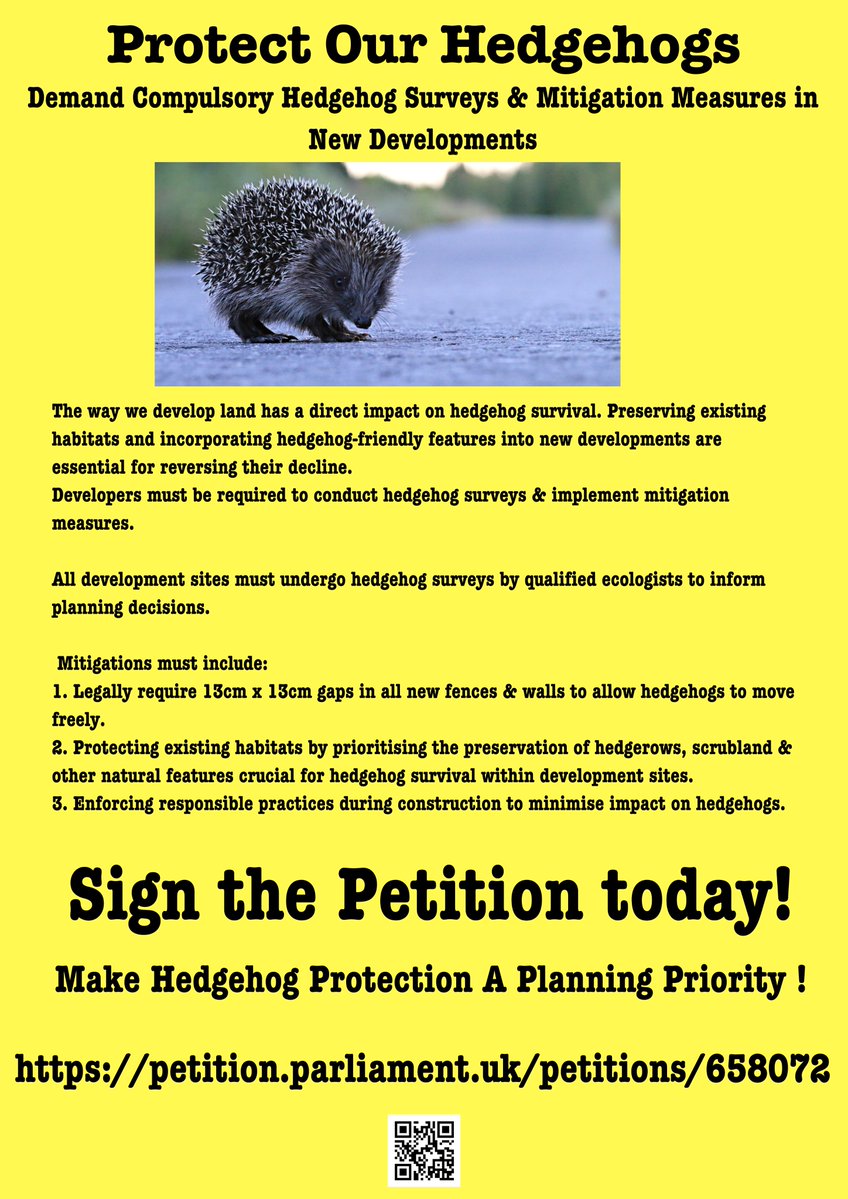 I have launched a petition asking the UK government to make #hedgehog surveys & mitigation measures compulsory for all new developments. In 3 weeks we have over 8200 signatures. Hoping you will share @CommunityPlann1 @RosieP4 👉🦔petition.parliament.uk/petitions/6580…