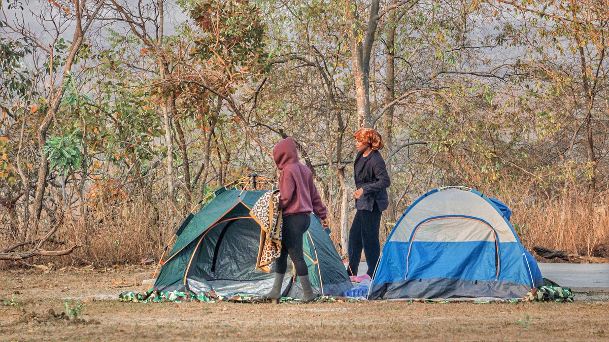 WalterWanye's tweet photo. Discover the Magic of Camping at @MolePark...👇
https://t.co/Zp0VlmDlAs

#TOURGUIDE #Backpackers #camping #tourism #NatureTherapy https://t.co/YKvqQ05ai3