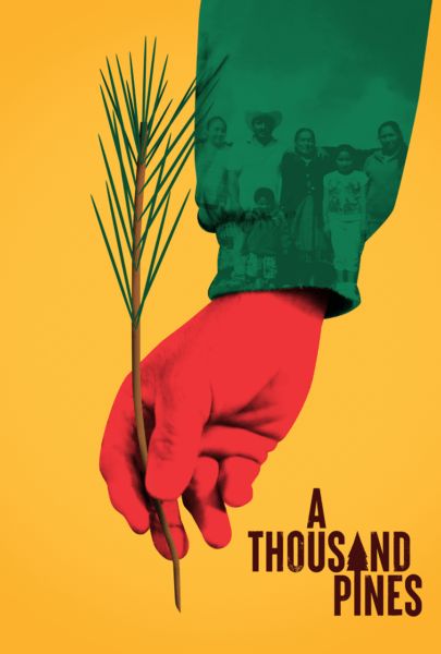Very excited to share the news that Wenner-Gren Fejos Fellow Noam Osband's film, 'A Thousand Pines', will be broadcast on PBS this Monday, April 1st! buff.ly/4acwz5T