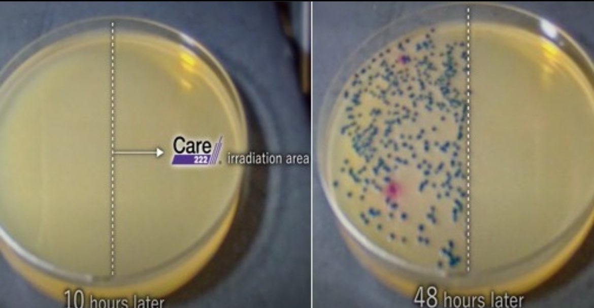 Irradiation of Far UVC is not just for viruses and bacteria but even fungus like mold. 

Many people encounter allergies to mold build up in their homes. By using Far UVC as you can see here you can strongly reduce all kinds of organisms that slow us down. 

#faruvc #covidsafe…