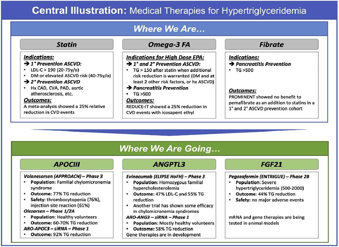 GGreenbergMD tweet picture