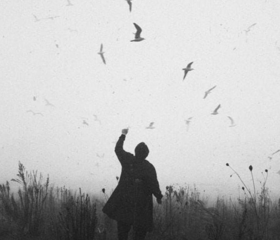 We are all ordinary. We are all boring. We are all spectacular. We are all shy. We are all bold. We are all heroes. We are all helpless. It just depends on the day.