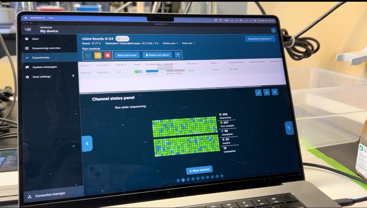 Claire Williams (@clairewill22) on Twitter photo Loading a <a href="/nanopore/">Oxford Nanopore</a> flow cell with some lizard samples with <a href="/canda007/">Dr. Candace Williams</a>!
Let’s see what we get! Loading a <a href="/nanopore/">Oxford Nanopore</a> flow cell with some lizard samples with <a href="/canda007/">Dr. Candace Williams</a>!
Let’s see what we get!