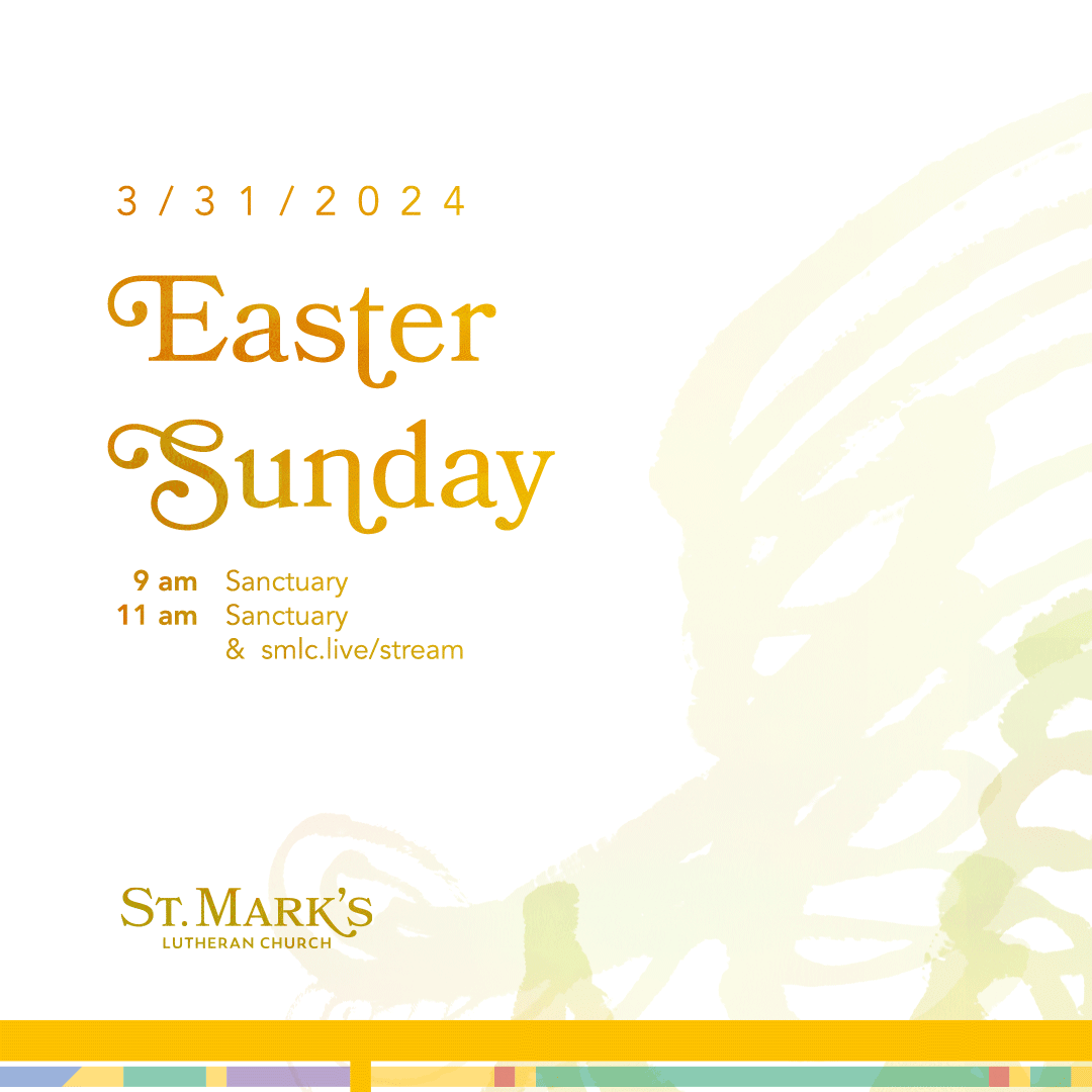 🟨 The Resurrection of Jesus: Easter Day [Parish Announcements] - mailchi.mp/f92100997ece/2…
