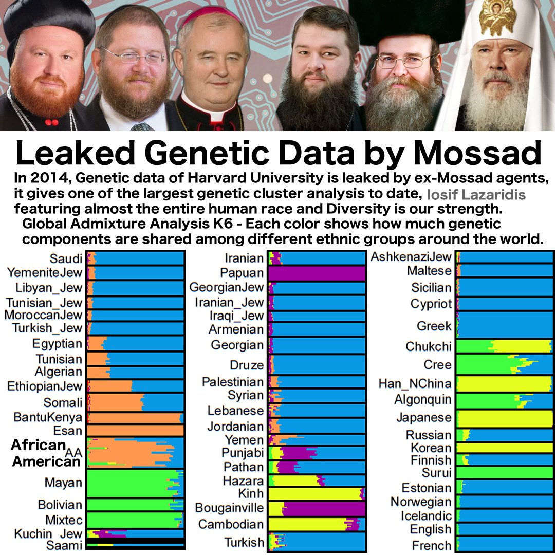 AsianJesusAmigo's tweet image. Around 0.5~1% admixture is enough to get some desirable phenotype with diversity mix match variety combination to look like other ethnic group. The rest is West Eurasian genetic component ( Blue ) which boosts non-Blue strengths to max efficient output and high IQ #METAbuild