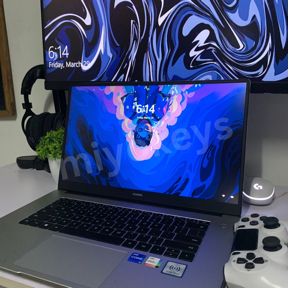 berlin 🐾 tweet media