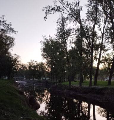 RambaAmbiental's tweet photo. El hermoso rio Lujan en la ciudad de #Mercedes.
Este rio posee 129 km de extensión.
Nace en Suipacha y desemboca en el Rio de La PLata, en San Isidro. https://t.co/MEXXdmYawQ