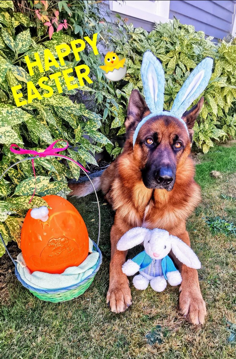 Happy Easter 🐣