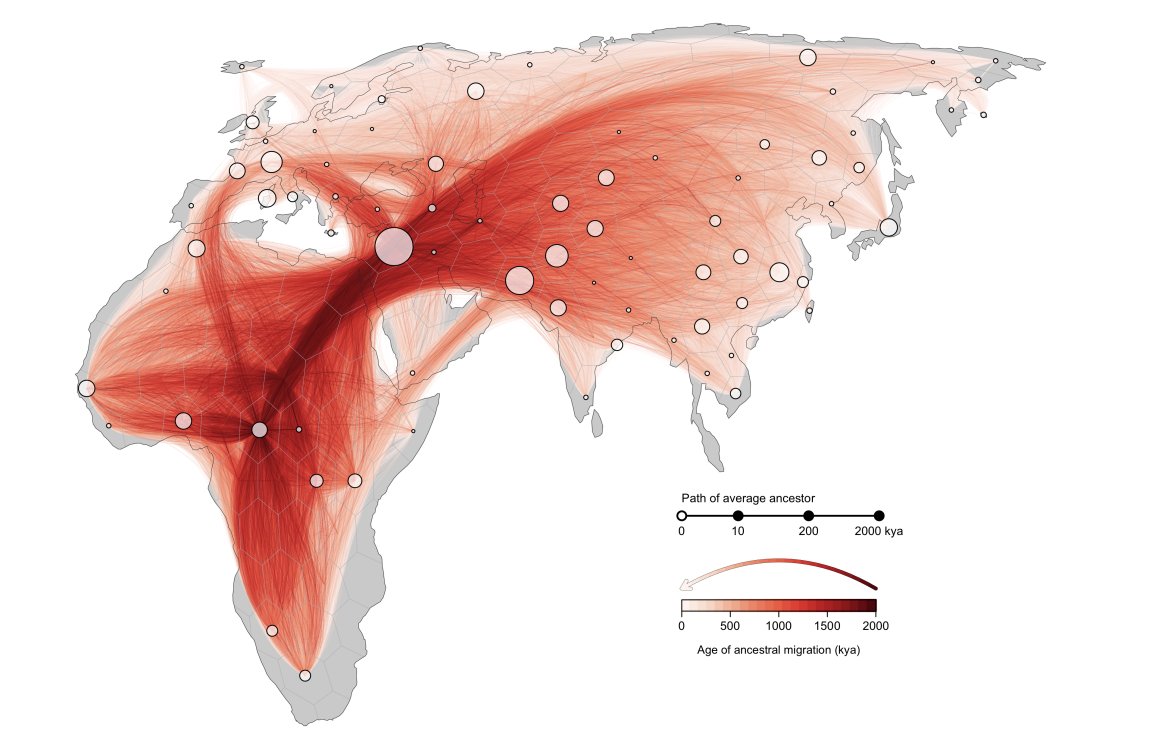 Excited to see this preprint out 'A geographic history of human genetic ancestry' by Michael Grundler, Jonathan Terhorst & @gbradburd biorxiv.org/content/10.110…