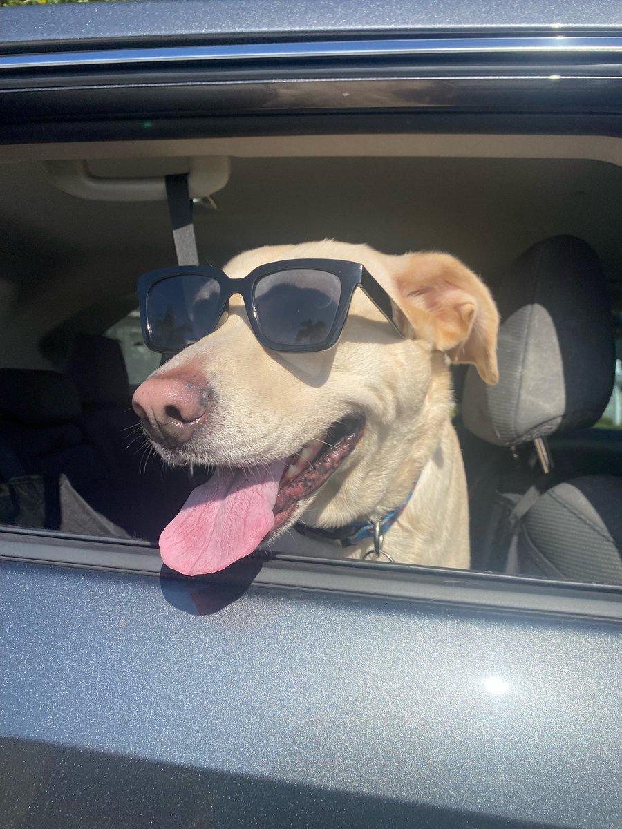 Brit Brat 🖤 tweet media