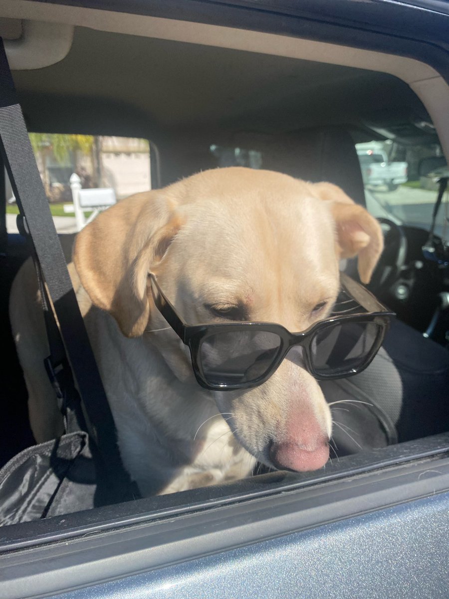 Brit Brat 🖤 tweet media