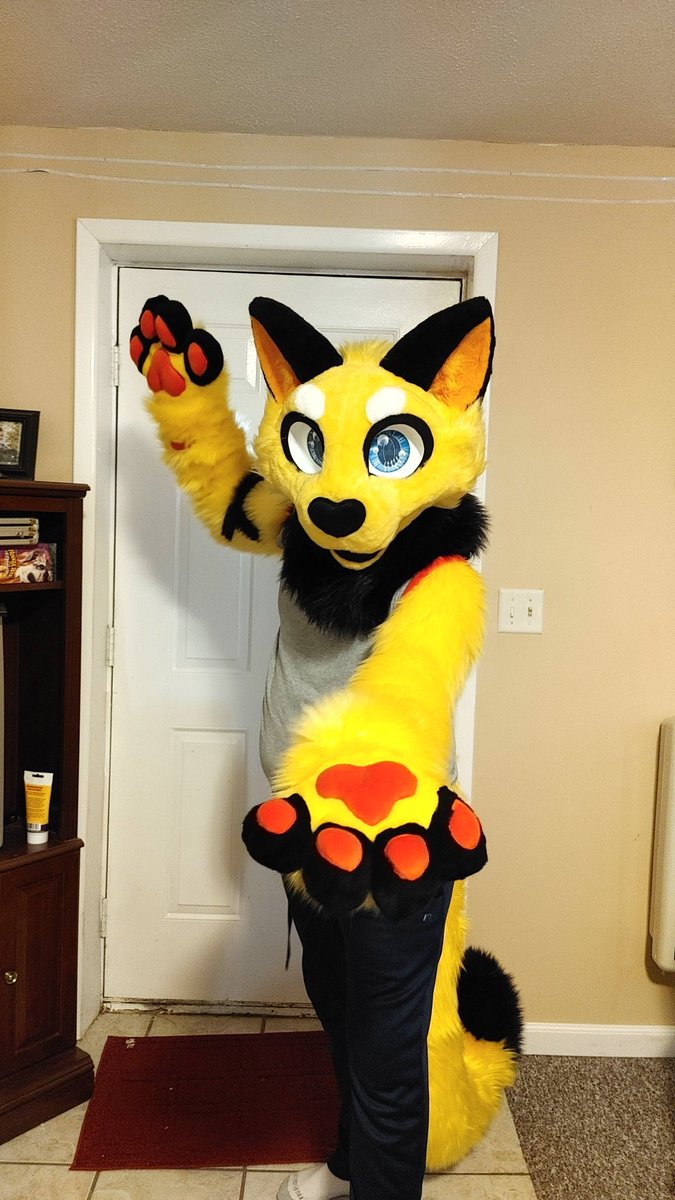 Howdy, y'all! Allow me to introduce myself! My name's Railroller or Rail for short. I'm an energetic yellow cat who is obsessed with trains. Come along to see what shenanigans I get up to.

#FursuitFriday