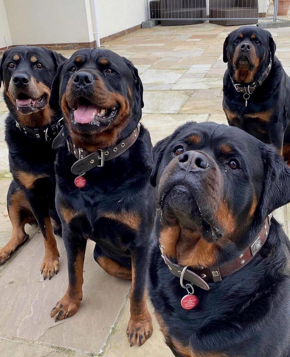 LukefreadJ's tweet image. 