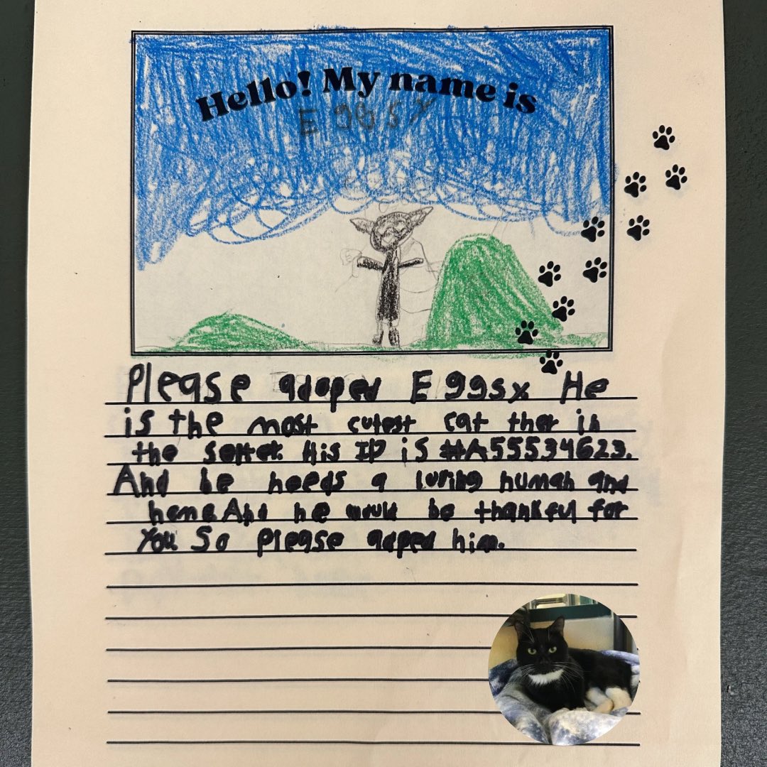 New bio card, who this? 😉 Thank you to the kind stranger that dropped off these adorable bio cards and to the many kids that took the time to make these for some of our ADL pets💚 Doing special things like this can increase the chances of one of these babies getting adopted!