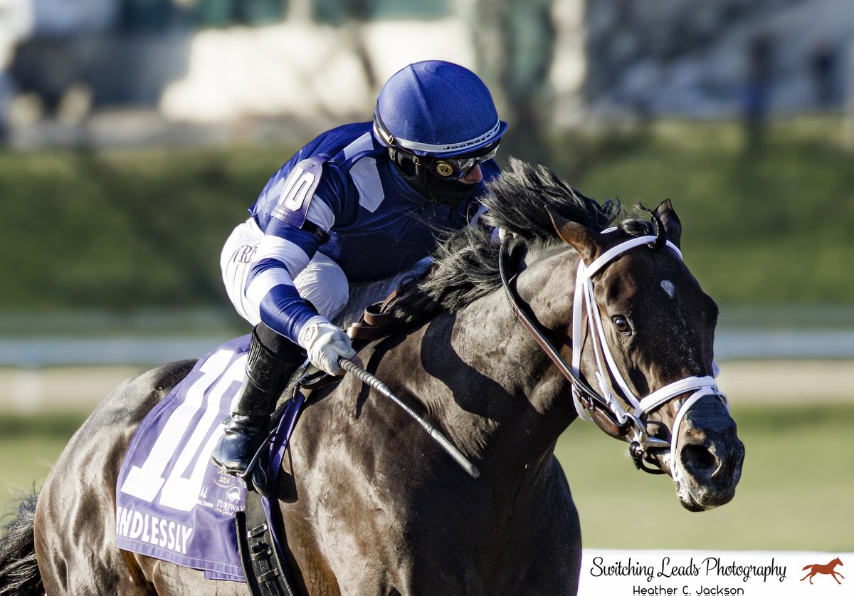 @umbyrispoli guides Amerman Racing's 3yo son of Oscar Performance, Endlessly, to a 4-length win in the G3 Jeff Ruby Steaks at Turfway on 3.23.2024. Please visit @CoadyPhoto to purchase official race photos.