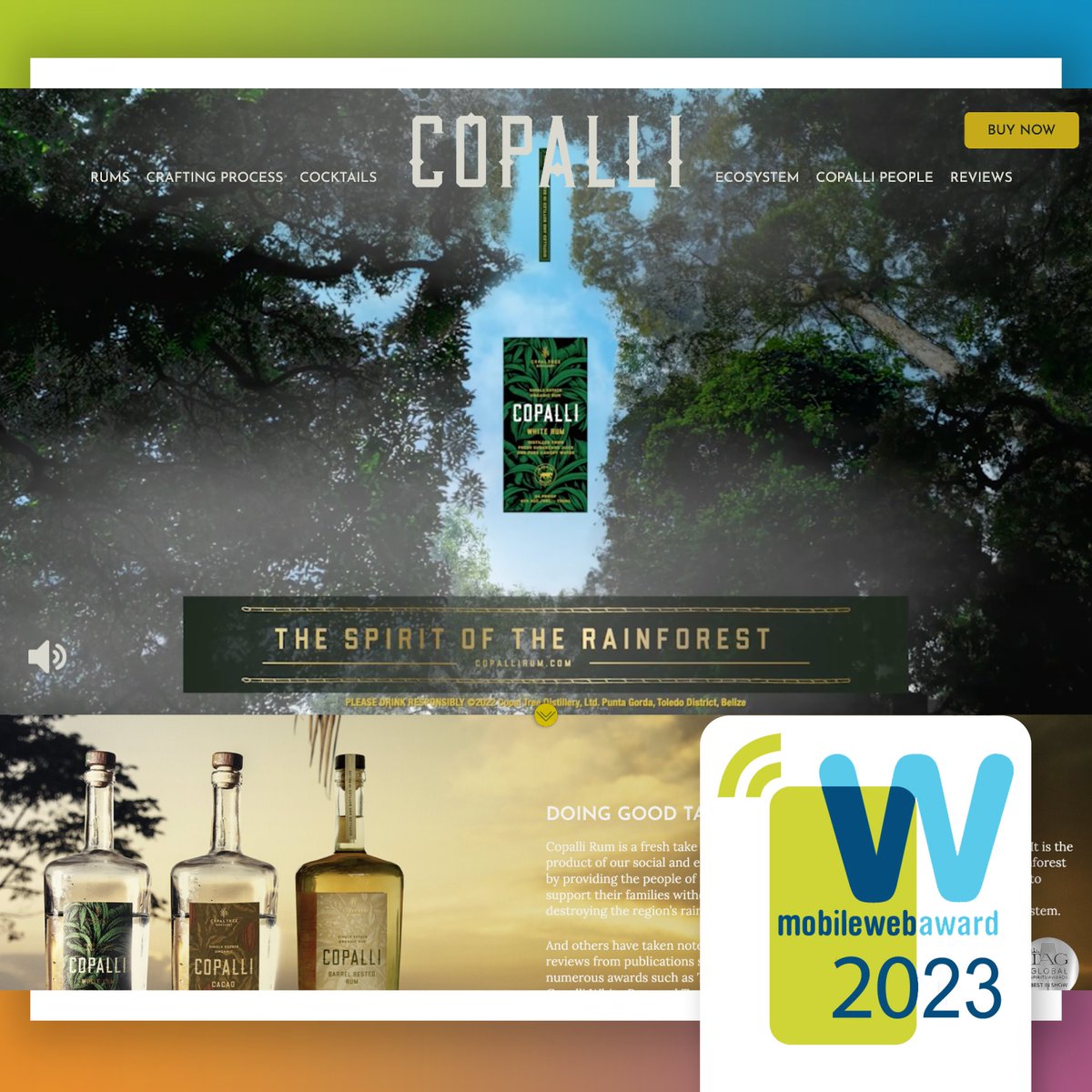 We're thrilled to announce that the mobile version of our website design for Copalli Rum has taken home the crown, winning the Best Mobile Website Award in the beverage category at the prestigious 2023 WebAwards! bit.ly/3TOXjm3