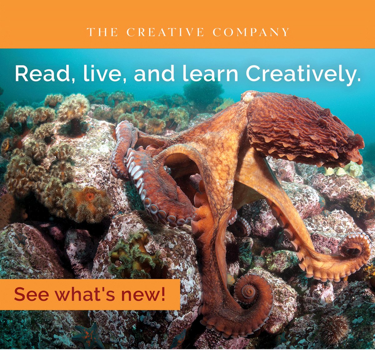 Read, Live, and Learn Creatively! 🐙📖 @CreativeCoMN Order: buff.ly/4cDQyf4 View Publisher Showcase: buff.ly/3PCITnp