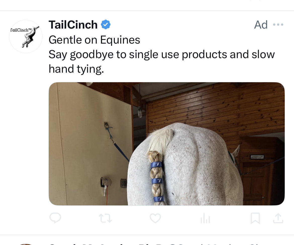 doubleadoublea's tweet image. There’s a joke in here somewhere about Elon taking over Twitter and thoroughly degrading the quality of content and advertising to the point where today’s repeated ad is just a literal horse’s ass…
