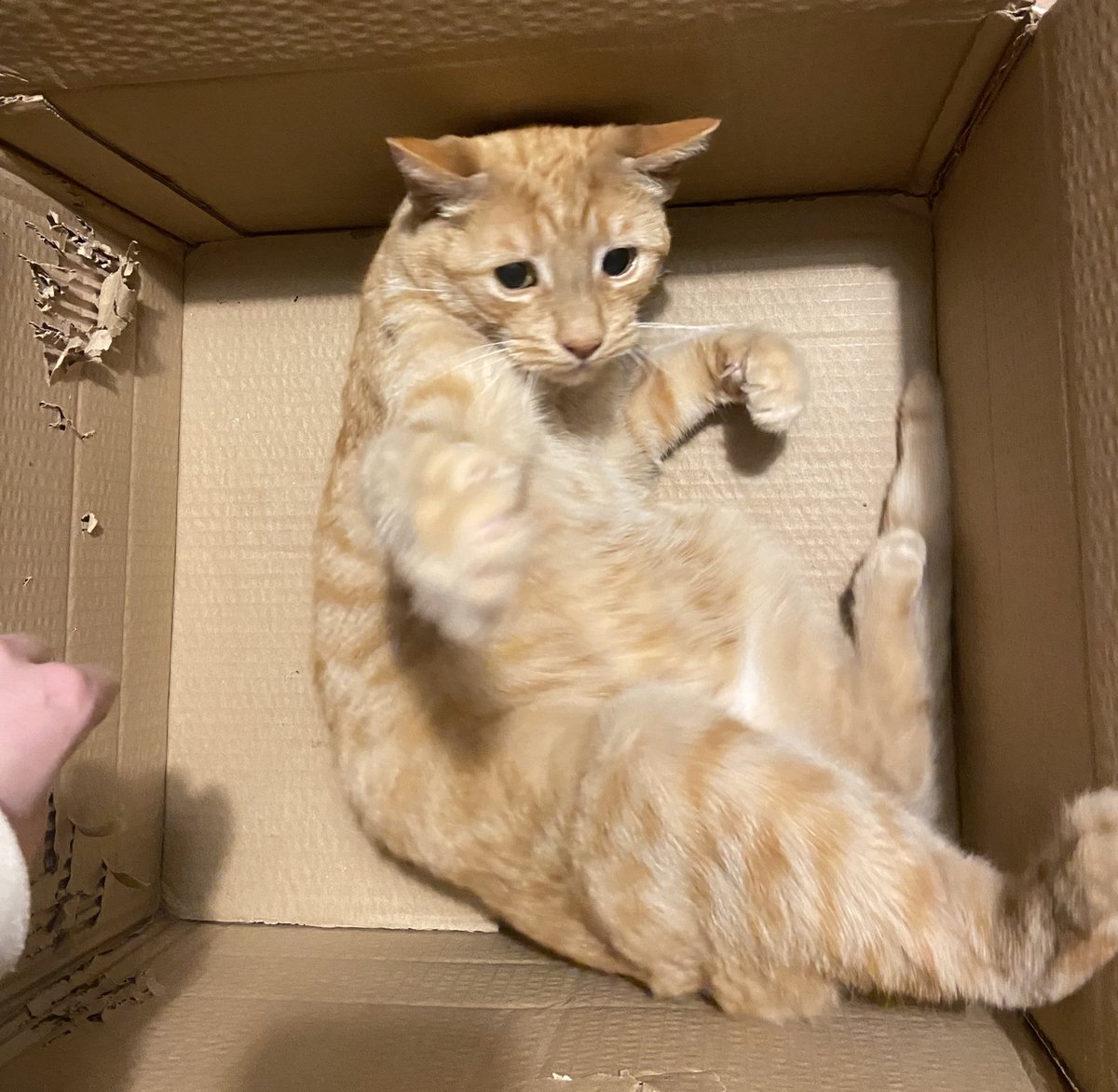 GET OUT MY BOX