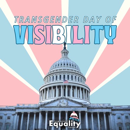 We must do more to protect, support, and uplift trans voices. As a member of the @EqualityCaucus, I am a proud ally to the trans community. I am committed to fighting against transphobia & for the rights of trans people today and every day. #TransLivesMatter #TDOV