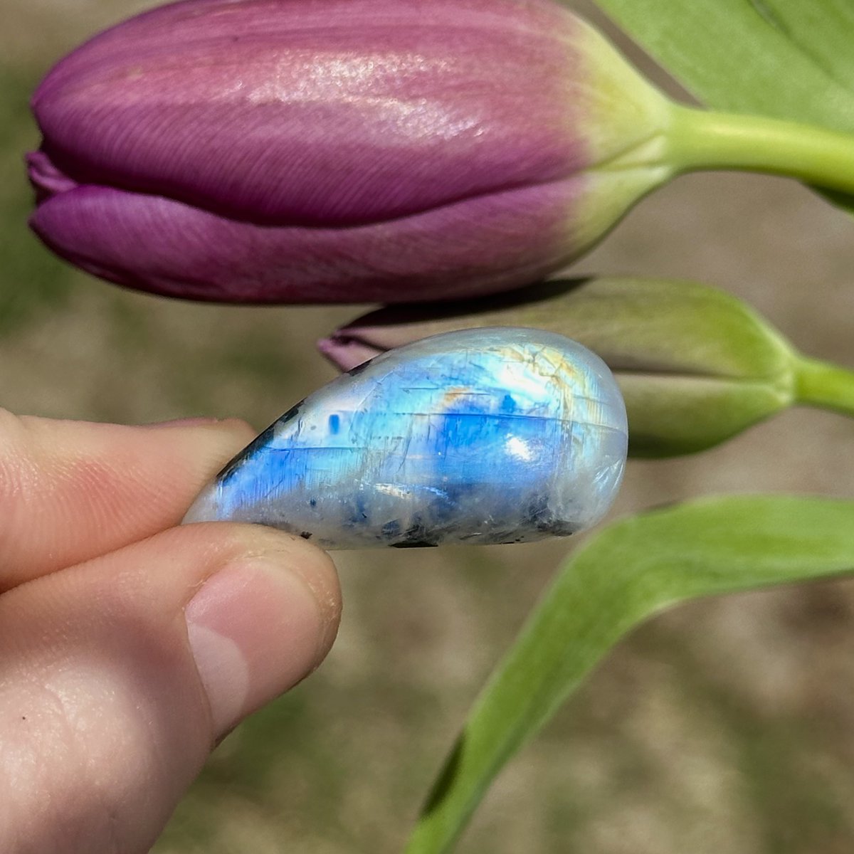 Spring Restock is LIVE 🌷✨ Shop over 100 new crystals, cabochons, and rings, ranging $1.50-$100! ⬇️ artbyjacstudio.com/collections/al… 🤍✨Comment below what YOU got! Share to help support my small business ✨🤍