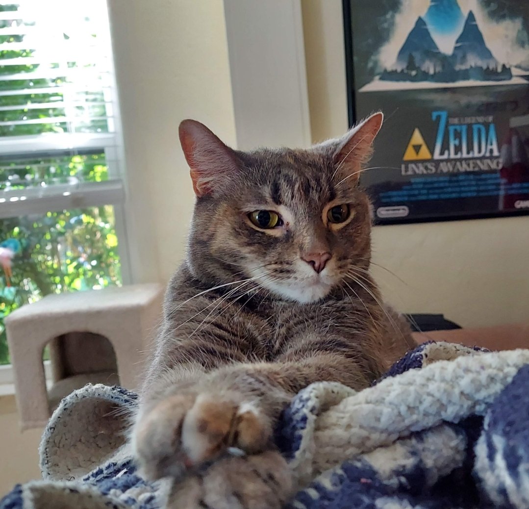 ASDF ➡️ the Bayou tweet media