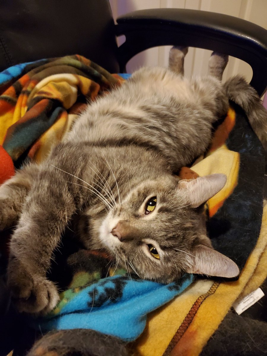 ASDF ➡️ the Bayou tweet media