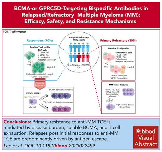 BCMA- or GPRC5D-targeting bispecific antibodies in multiple myeloma: efficacy, safety, and resistance mechanisms ow.ly/t21j50R4Asl #bloodspotlight #immunobiologyandimmunotherapy #lymphoidneoplasia #multiplemyeloma