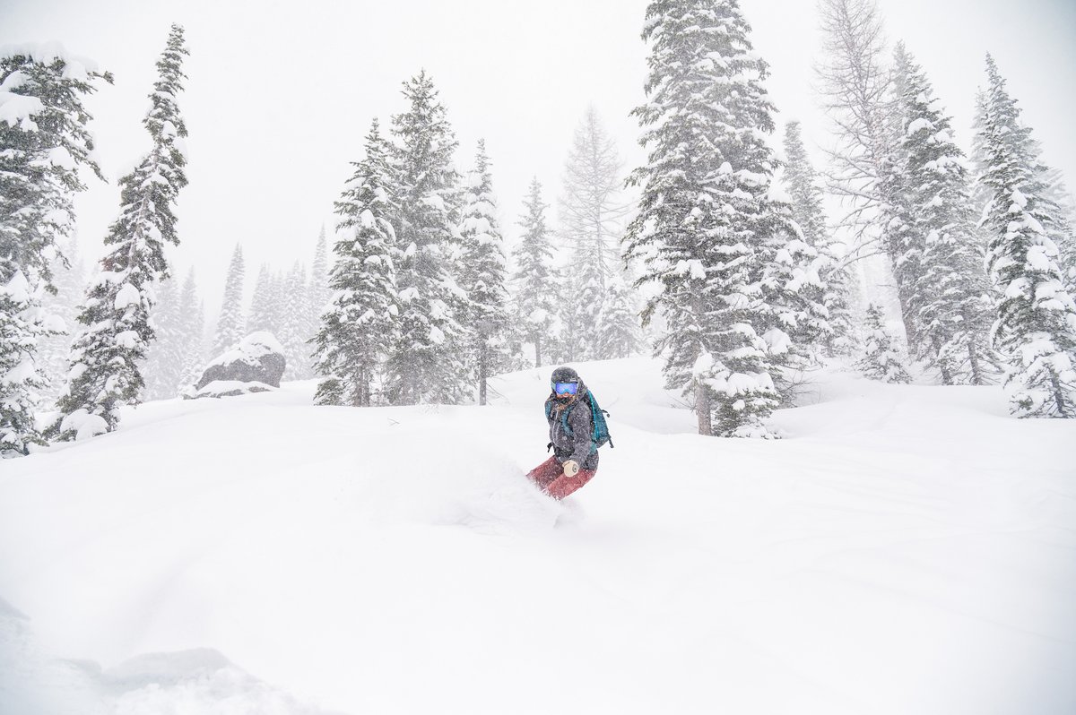 Lil sneaker pow day today. Only 3” overnight but we found deeper lines where it piled over the week. There’s still time to make some turns! Today is Community Day with $20 lift tickets & 100% of that goes to our local Community Cancer Services! bit.ly/schweitzerwint…