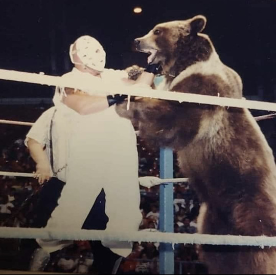 ring_span's tweet photo. “Fuck man, thank God we haven’t went back to the Roman days where you’re puttin’ lions and shit in the fuckin’ arena!”
--@JakeSnakeDDT talks centuries of wrestling culture on this week’s @SnakePitPod w./@MarcusPDeAngelo (Ep.69 #AskJakeAnything)
Nah, guys…just tigers &amp; bears!😆🦁 https://t.co/rNBQ8cQmOy