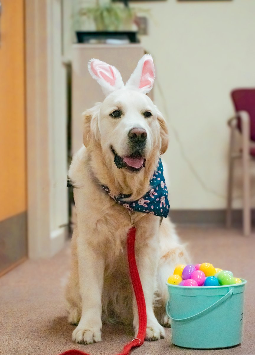 We're wishing you an egg-citing and paw-some Easter weekend!