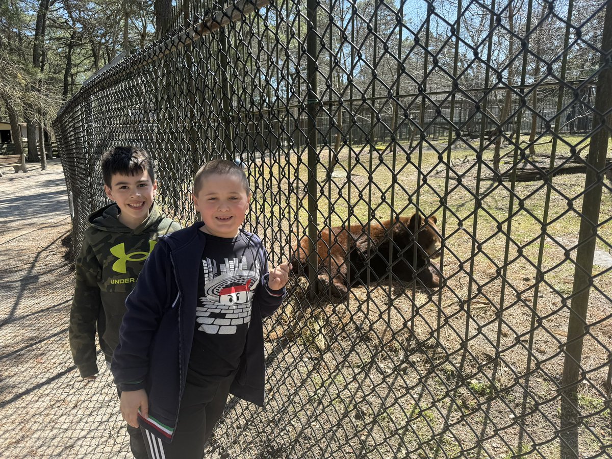 We found where Titus 🐻 is spending spring break <a href="/PopcornCats/">Popcorn Park Zoo</a> 
#BearTavernPride