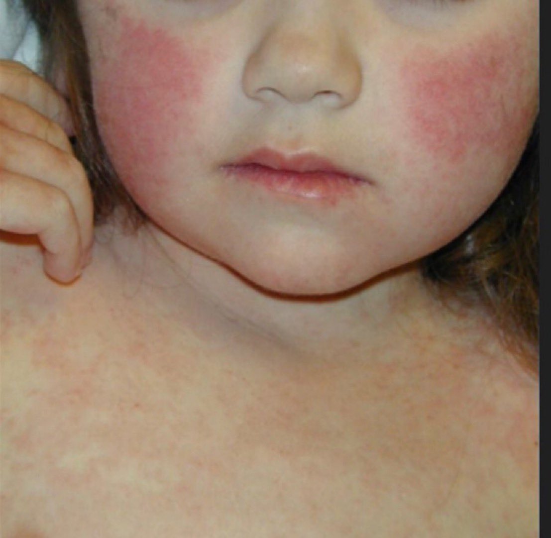 Journal of Brown Hospital Medicine tweet media