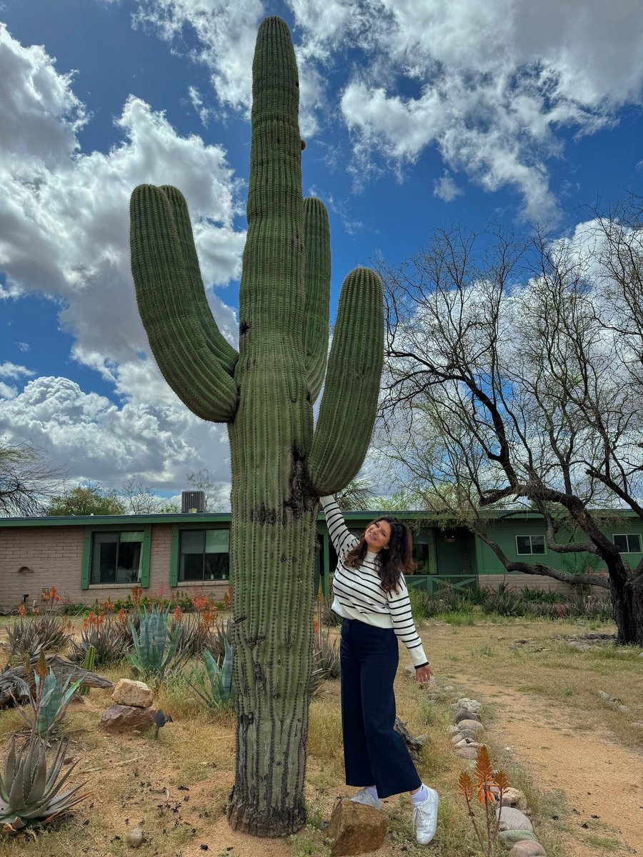 Cactus 🌵 
#TucsonArizona